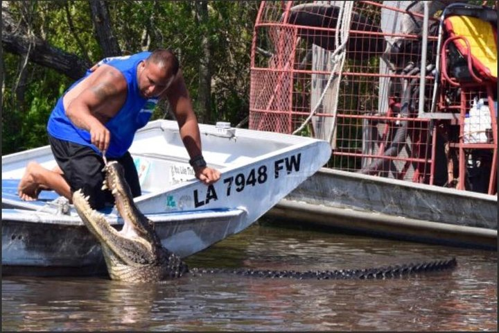 Private Bachelor or Bachelorette Airboat Swamp Tour in New Orleans - Photo 1 of 8